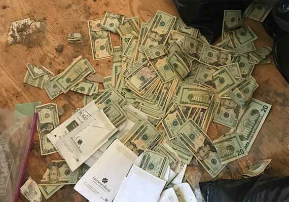 pile of money